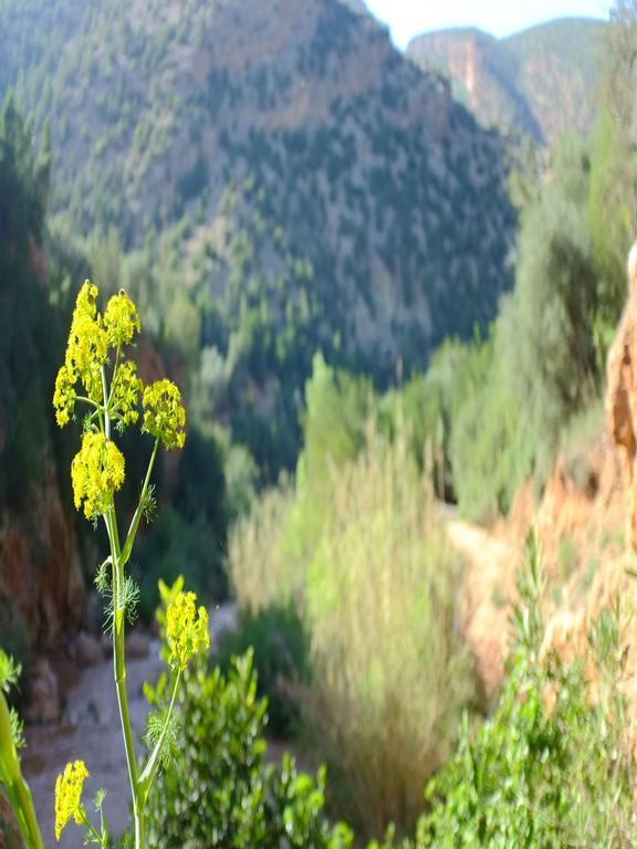 Riad Cascades D'Ouzoud Eksteriør billede