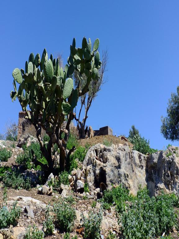 Riad Cascades D'Ouzoud Eksteriør billede