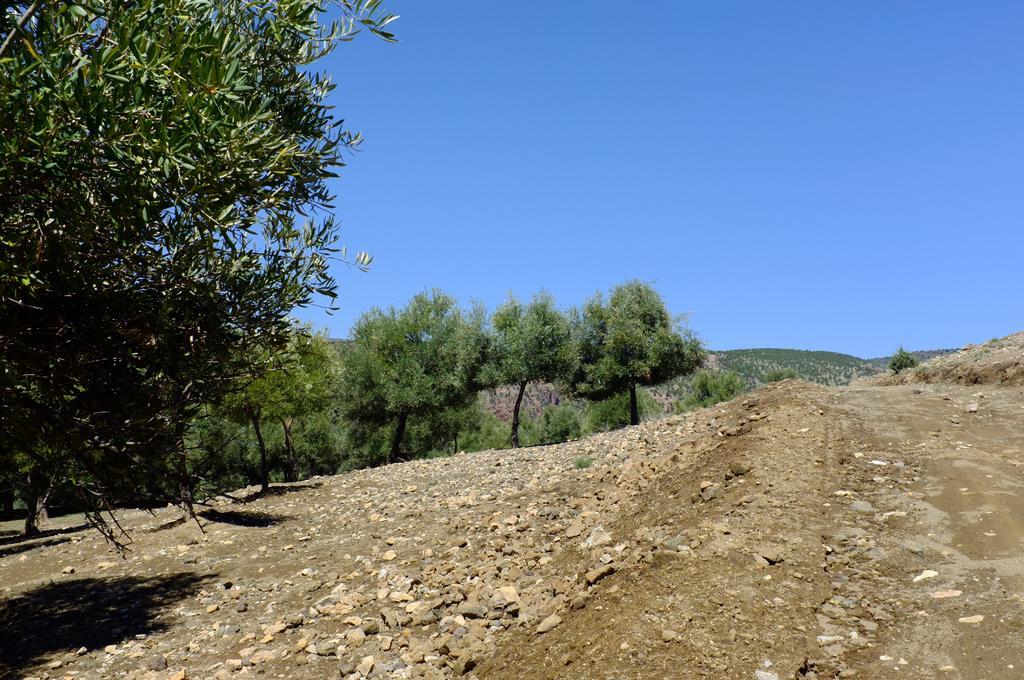 Riad Cascades D'Ouzoud Eksteriør billede
