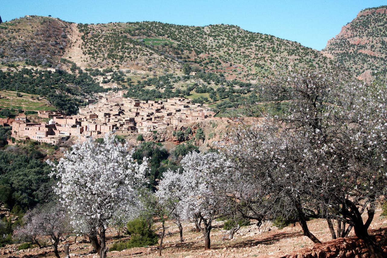 Riad Cascades D'Ouzoud Eksteriør billede